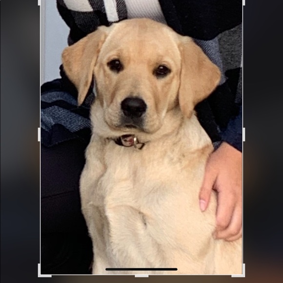 Meet your Posher, Debra - Picture 1 of 1